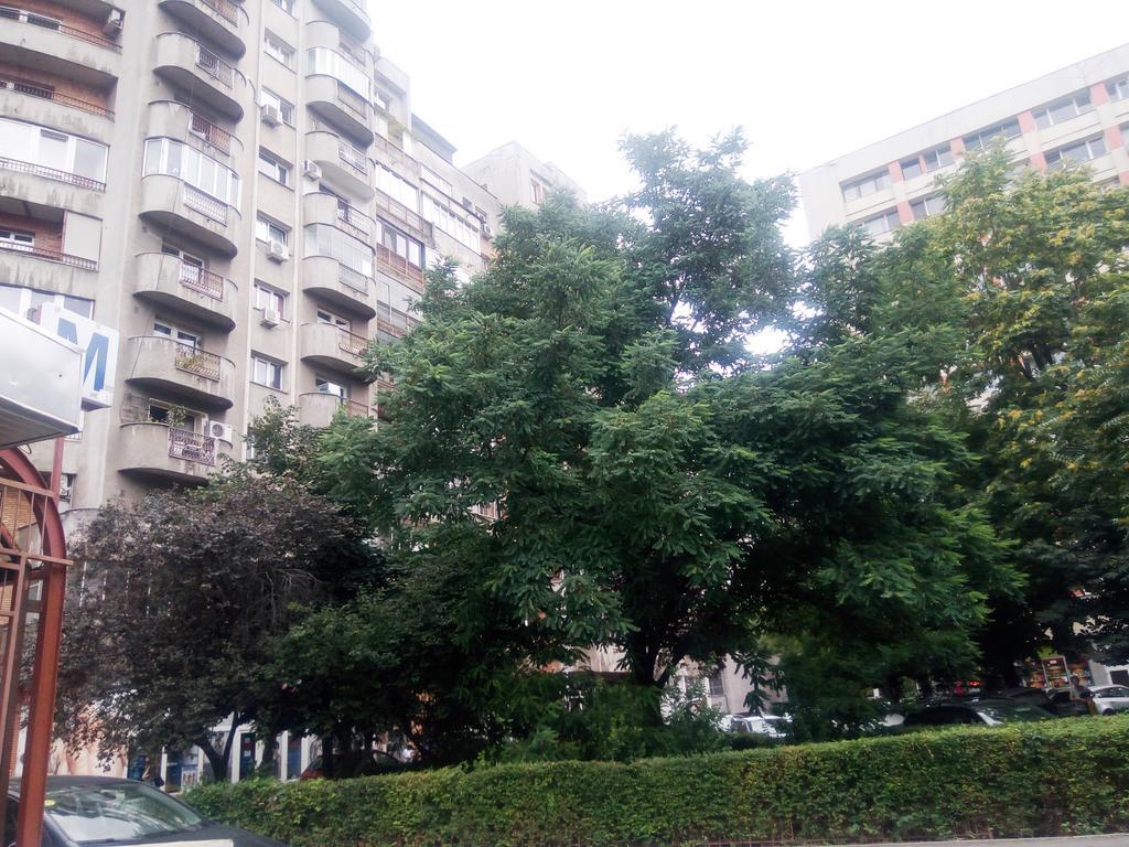 Apartament Dana 부쿠레슈티 외부 사진