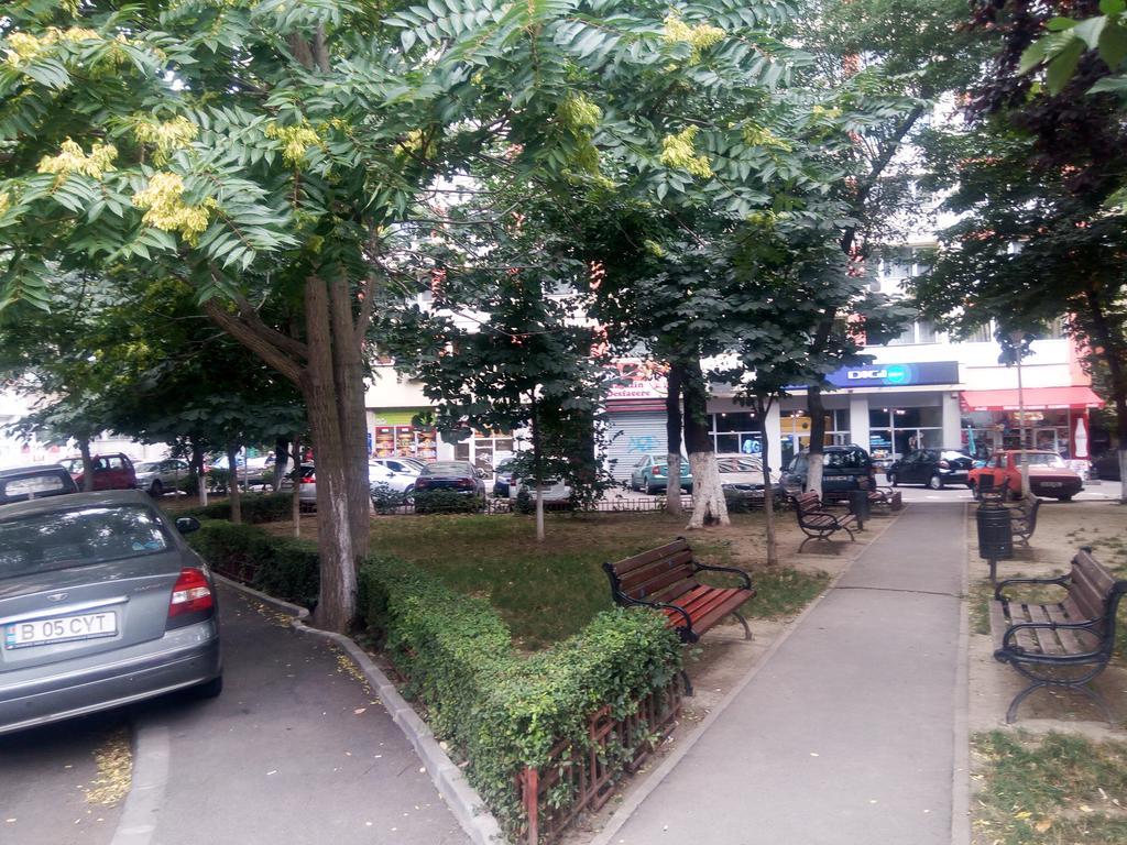 Apartament Dana 부쿠레슈티 외부 사진