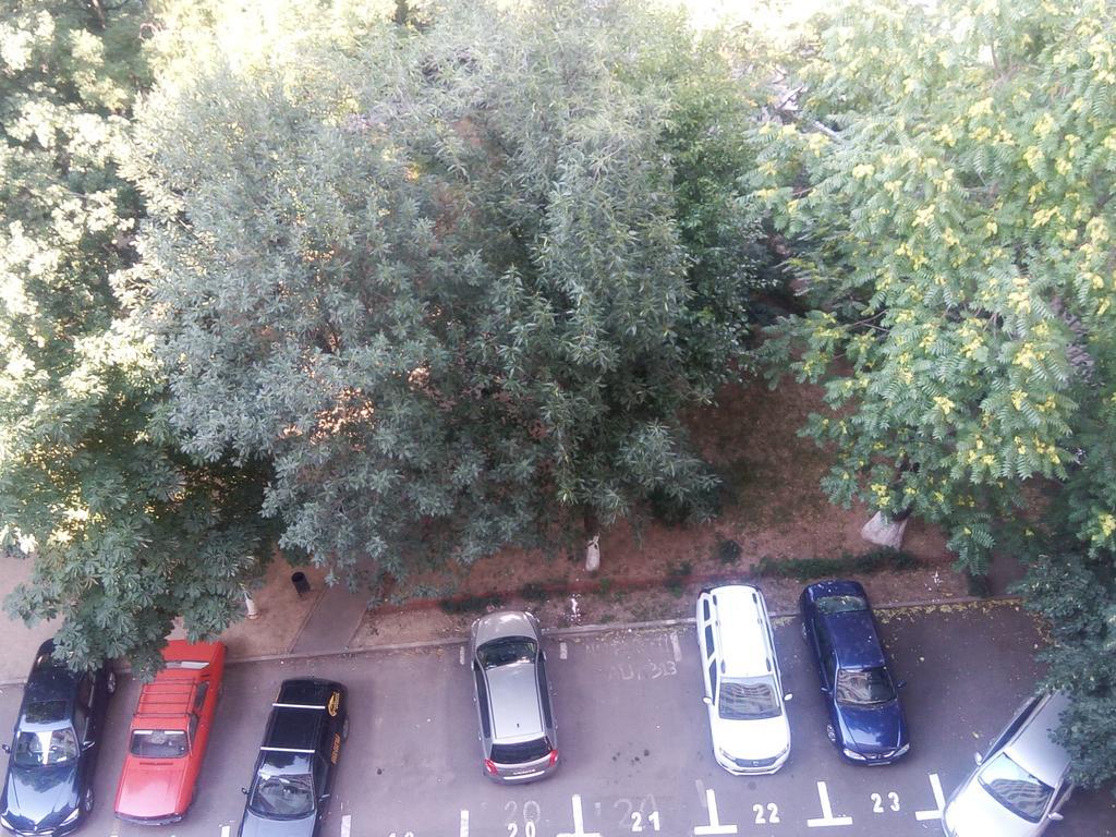 Apartament Dana 부쿠레슈티 외부 사진